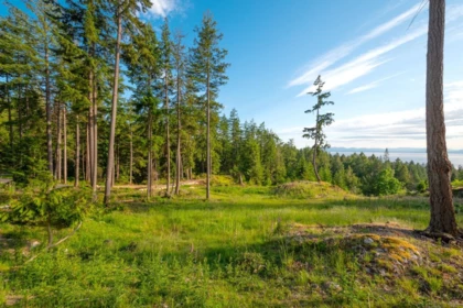 Lot 2 Innisfree Lane, Bowen Island, BC, Bowen Island — Land for sale