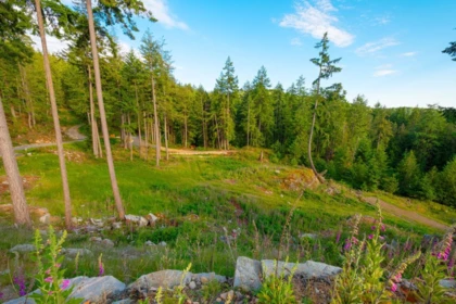 Lot 2 Innisfree Lane, Bowen Island, BC, Bowen Island — Land for sale