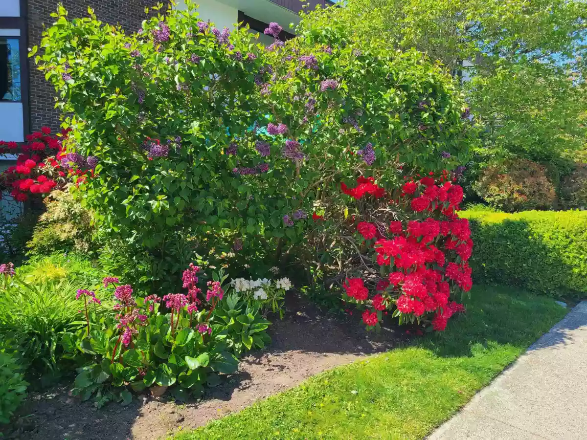 Living Room Photo of 111 1521 Blackwood Street, White Rock, BC