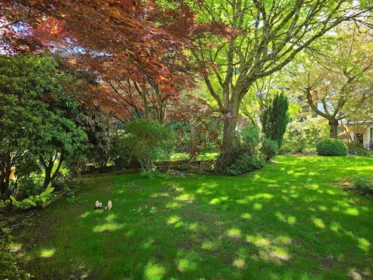 Street View Photo of 111 1521 Blackwood Street, White Rock, BC