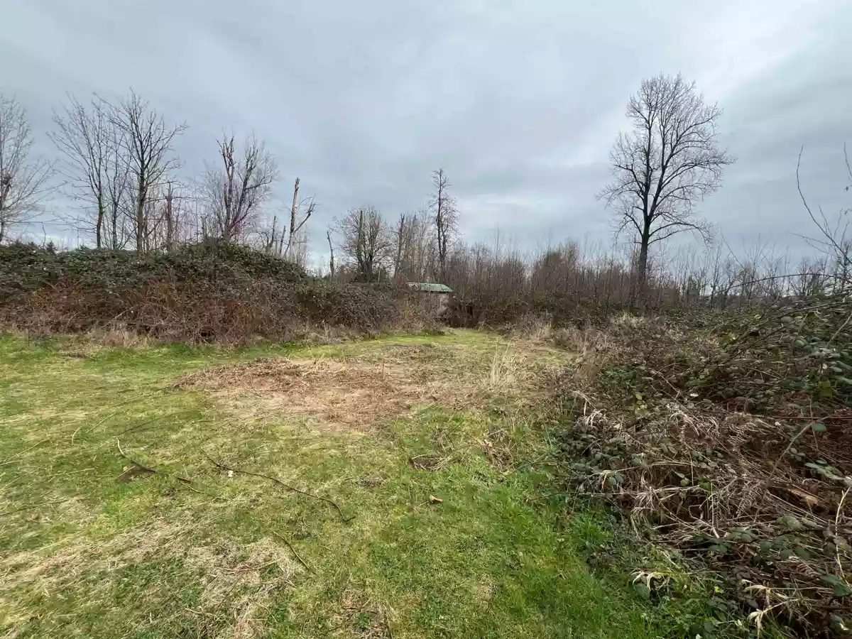 Kitchen Photo of 4162 Bradner Road, Abbotsford, BC