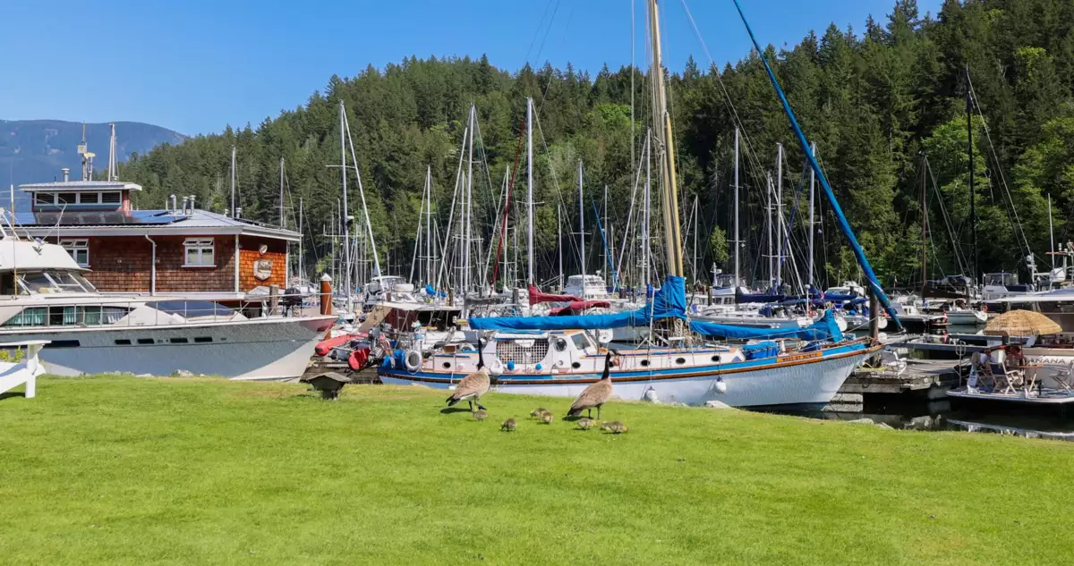 Community Amenities Photo (Clubhouse) of 1096 Foxglove Lane, Bowen Island, BC