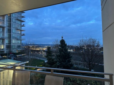 203 200 Nelson's Crescent, New Westminster, BC