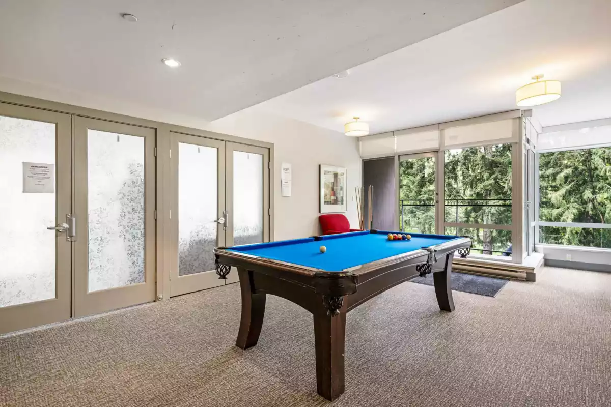 Aerial View of 2504 2789 Shaughnessy Street, Port Coquitlam, BC