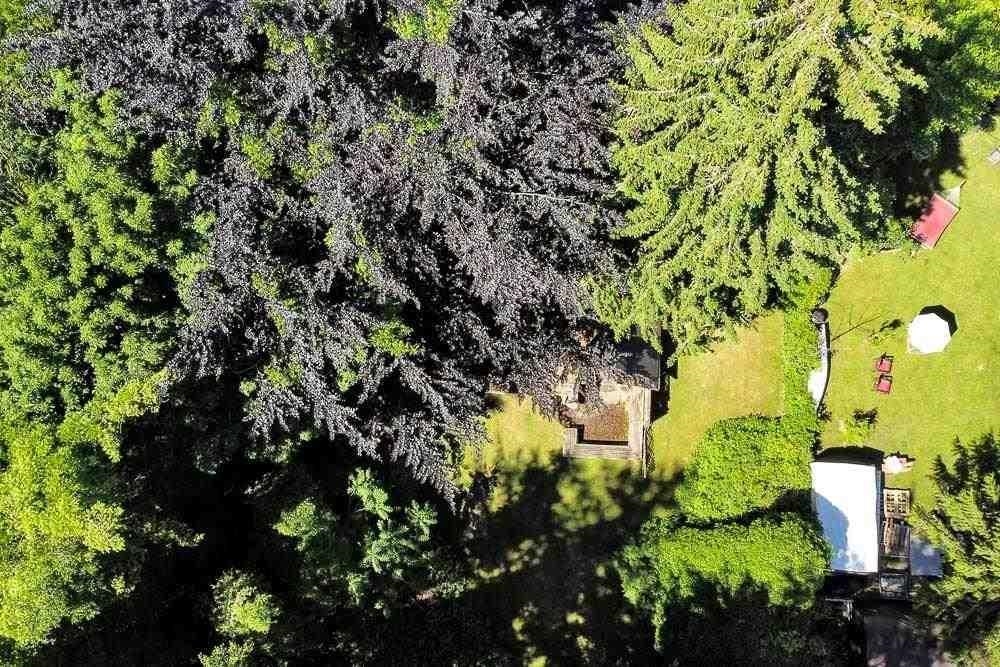 Kitchen Island Photo of 24742 100 Avenue, Maple Ridge, BC
