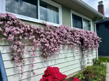 462 W 26th Street, North Vancouver, BC, North Vancouver — Single Family Residence for sale