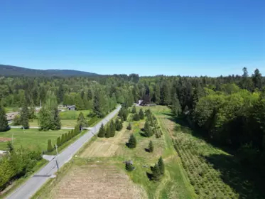 Aerial View of 25908 124 Avenue, Maple Ridge, BC