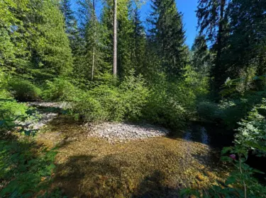 Neighborhood Park Photo Near 25908 124 Avenue, Maple Ridge, BC