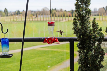 Outdoor Patio Photo of 314 6233 London Road, Richmond, BC