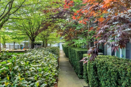 Street View Photo of 107 15230 Guildford Drive, Surrey, BC