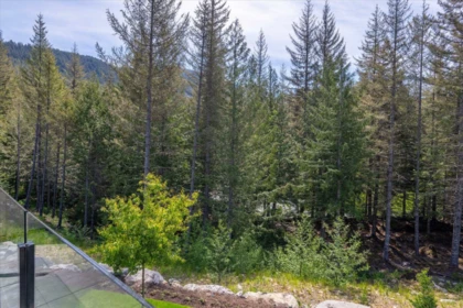 Pantry Photo of 1804 Mount Fee Road, Whistler, BC