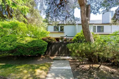 Swimming Pool Photo of 11 3350 Rosemont Drive, Vancouver, BC