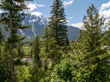 7677 Cerulean Drive, Pemberton, BC, Pemberton — Land for sale