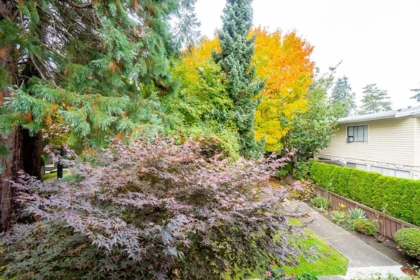 Laundry Room Photo of 49 9378 122 Street, Surrey, BC