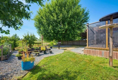Backyard Photo of 4881 216 Street, Langley, BC