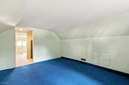 Loft / Bonus Room Photo of 20259 Wanstead Street, Maple Ridge, BC