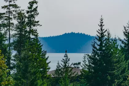 Aerial View of 5575 Curran Road, Halfmoon Bay, BC