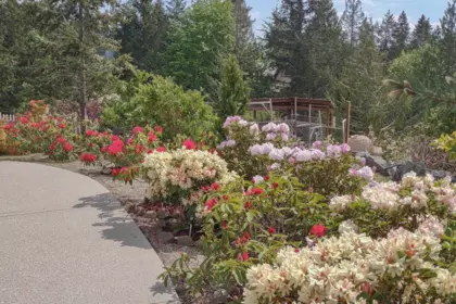 Outdoor Patio Photo of 5575 Curran Road, Halfmoon Bay, BC