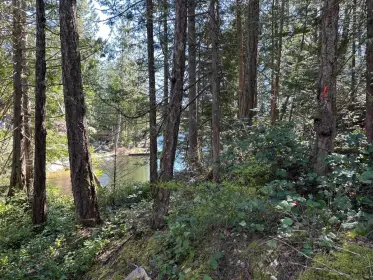LOT 7 Beaumont Road, Pender Harbour, BC, Pender harbour — Land for sale