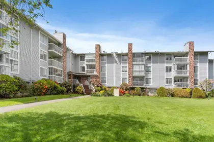 336 5379 205 Street, Langley, BC, Langley — Apartment/Condo for sale
