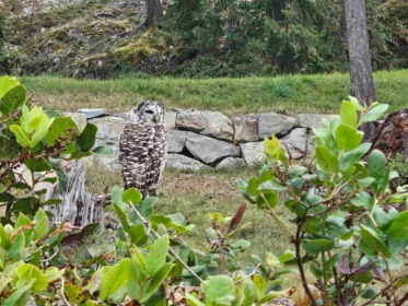 Lot 6 Innisfree Lane, Bowen Island, BC, Bowen Island — Land for sale