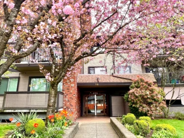 202 535 Blue Mountain Street, Coquitlam, BC, Coquitlam — Apartment/Condo for sale