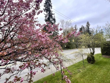 Laundry Room Photo of 202 535 Blue Mountain Street, Coquitlam, BC