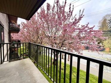 Loft / Bonus Room Photo of 202 535 Blue Mountain Street, Coquitlam, BC