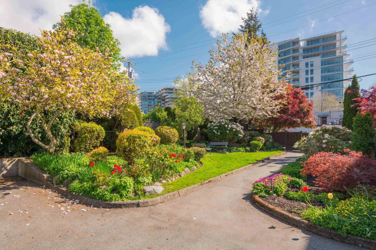 Family Room Photo of 210 1354 Winter Street, White Rock, BC