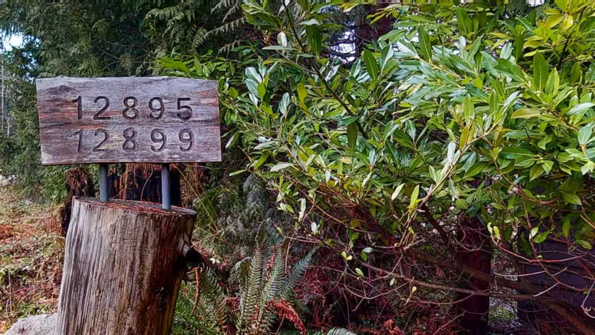 Swimming Pool Photo of 12899 Sunshine Coast Highway, Madeira Park, BC