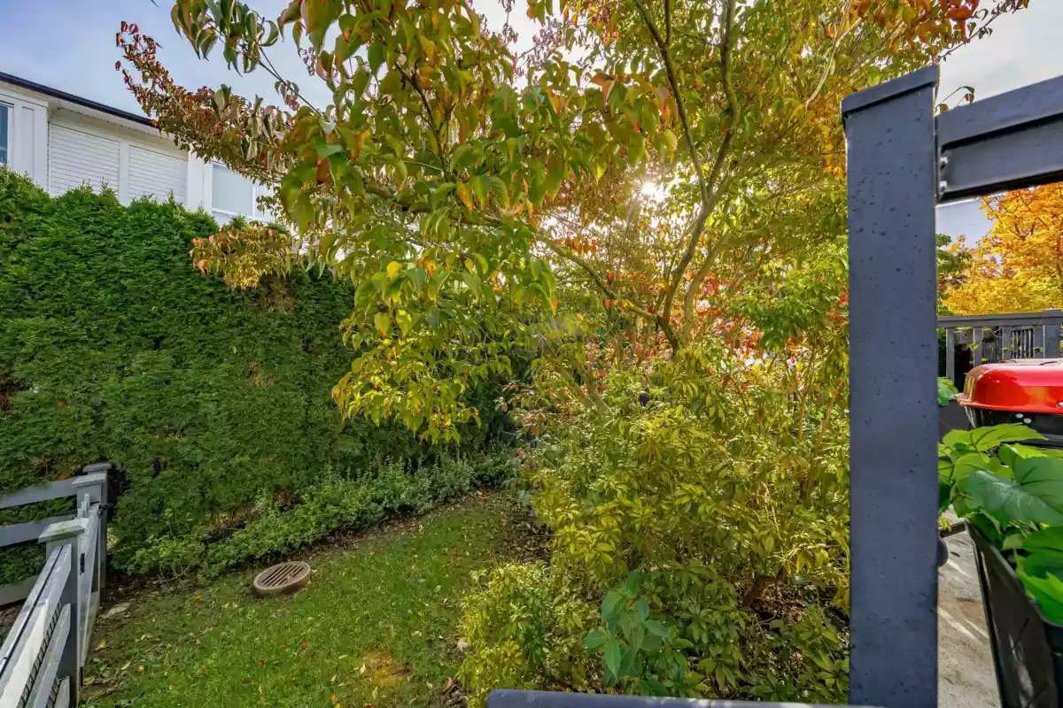 Outdoor Deck Photo of 24 2423 Avon Place, Port Coquitlam, BC