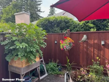 Outdoor Kitchen Photo of 2 11934 Laity Street, Maple Ridge, BC