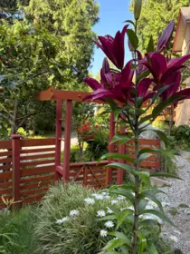 Outdoor Patio Photo of 15 1131 Emery Road, Roberts Creek, BC