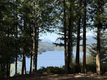 Neighborhood Park Photo Near 201 7101 Sakinaw Woods Drive, Garden Bay, BC