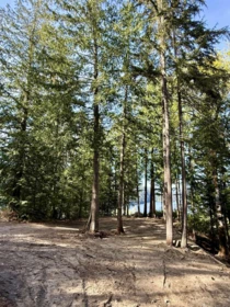 Swimming Pool Photo of 201 7101 Sakinaw Woods Drive, Garden Bay, BC