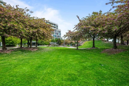 Backyard Photo of 911 8800 Hazelbridge Way, Richmond, BC
