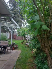 Front Yard Photo of 7566 Dunsmuir Street, Mission, BC