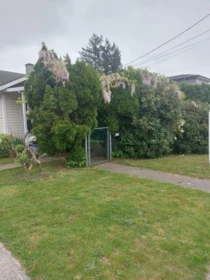 Hot Tub / Spa Photo of 7566 Dunsmuir Street, Mission, BC