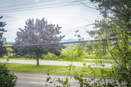 Front Yard Photo of 32 9551 Ferndale Road, Richmond, BC