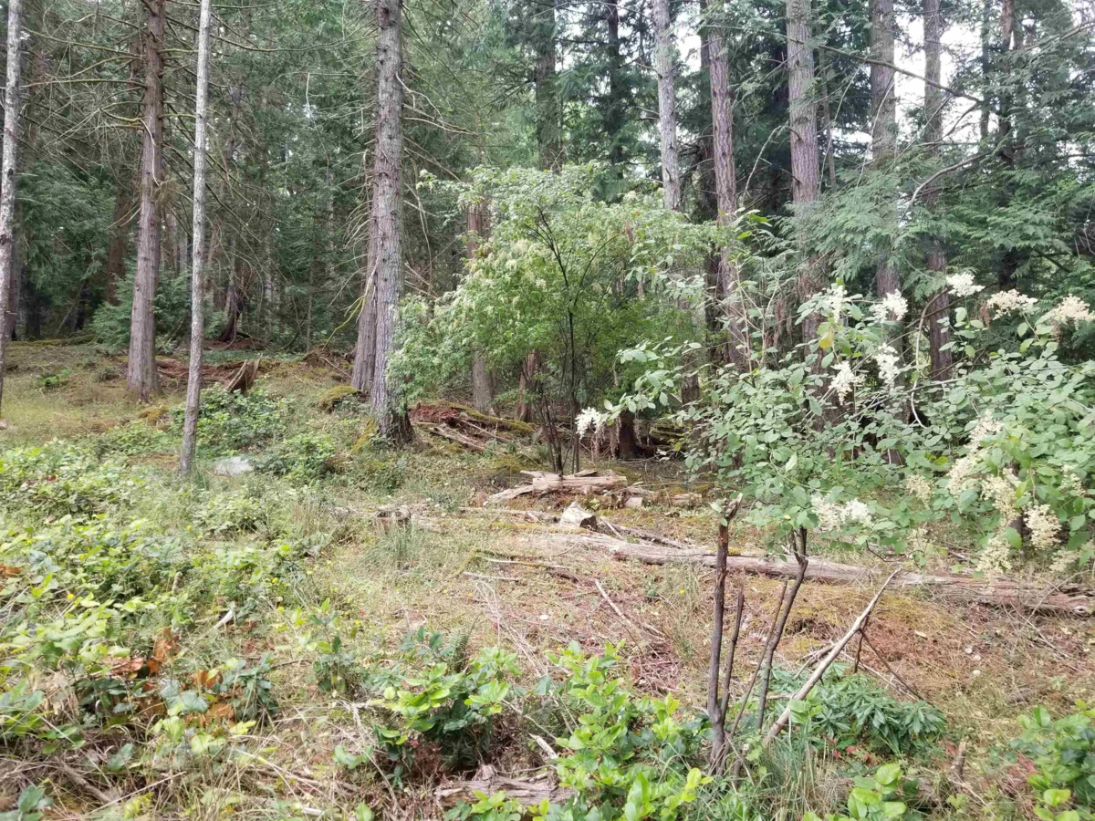 Dining Area Photo of LOT 1 Burrill Road, Galiano Island, BC