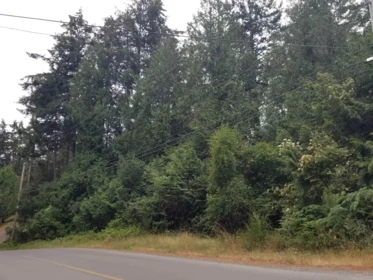 Pantry Photo of LOT 1 Burrill Road, Galiano Island, BC