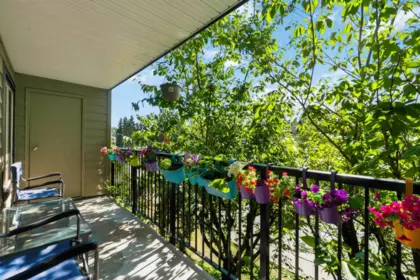 Basement Recreation Room Photo of 206 10468 148 Street, Surrey, BC