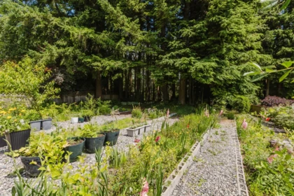Hot Tub / Spa Photo of 1565 Bramble Lane, Coquitlam, BC