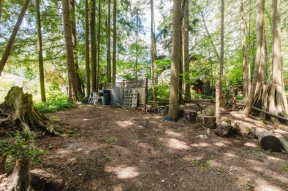 Neighborhood Park Photo Near 1565 Bramble Lane, Coquitlam, BC