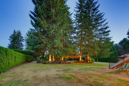 Kitchen Island Photo of 25126 58 Avenue, Langley, BC