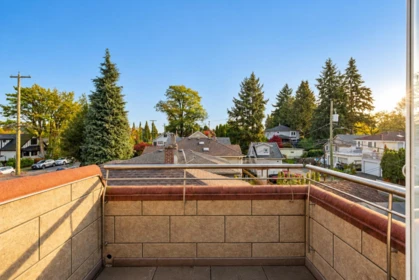 Aerial View of 368 E 33rd Avenue, Vancouver, BC