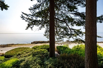 Backyard Photo of 3581 Beach Avenue, Roberts Creek, BC