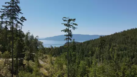 Lot 4 13803 Lee Road, Pender Harbour, BC, Pender harbour — Land for sale