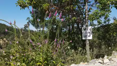 Lot 4 13803 Lee Road, Pender Harbour, BC, Pender harbour — Land for sale
