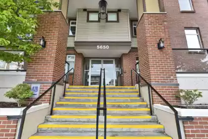 117 5650 201a Street, Langley, BC, Langley — Apartment/Condo for sale